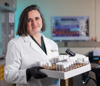 Explorarea controlului hormonal în dezvoltarea cancerului: un nou proiect al Universității Kennesaw State