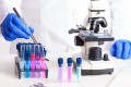 Noi compuși ce ar putea ajuta la tratarea cancerului cerebral și mamar