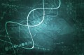 5 noi variante genetice asociate cu cancerul cerebral au fost identificate