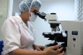 Celulele T, mai active in depistarea cancerului decat se credea